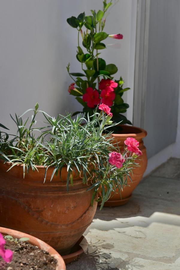 Feel At Home - Family House In Hydra Exterior foto